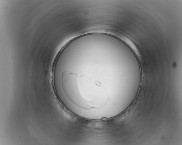 X0000090771051200707201110