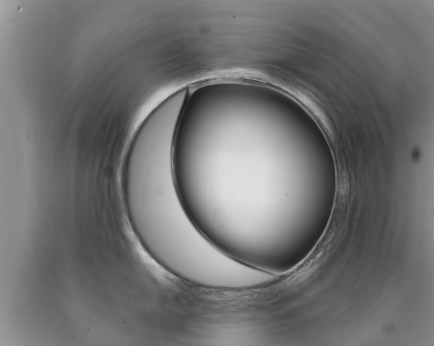 X0000090771054200707201110