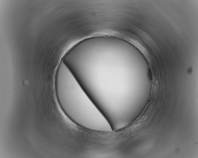 X0000090771055200707201110