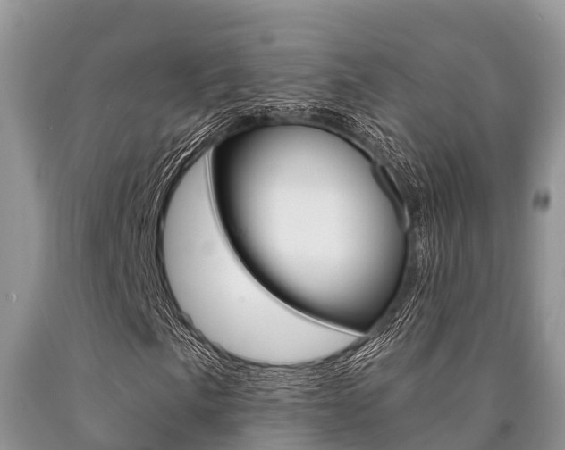 X0000090771057200707201109