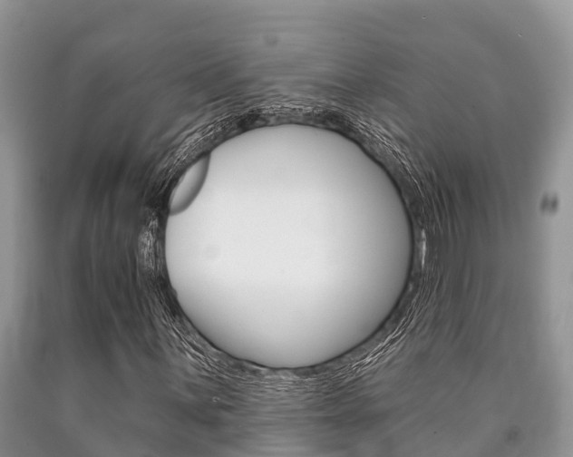 X0000090771059200707201109