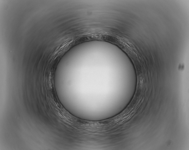 X0000090771060200707201109
