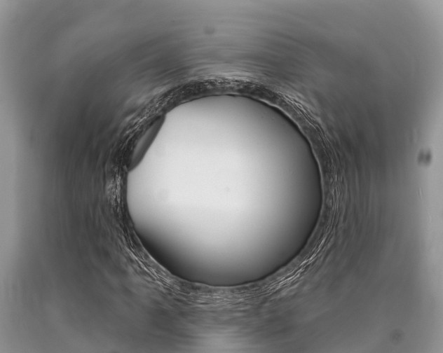 X0000090771061200707201109