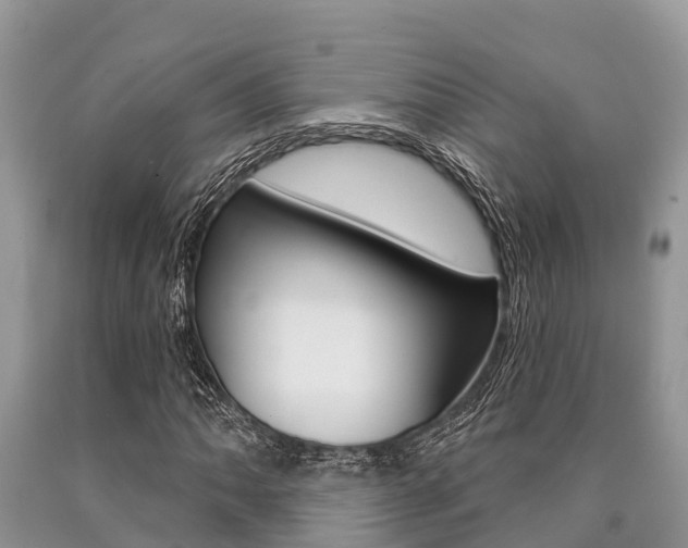 X0000090771062200707201109