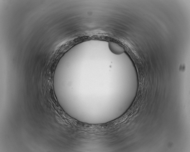 X0000090771063200707201109