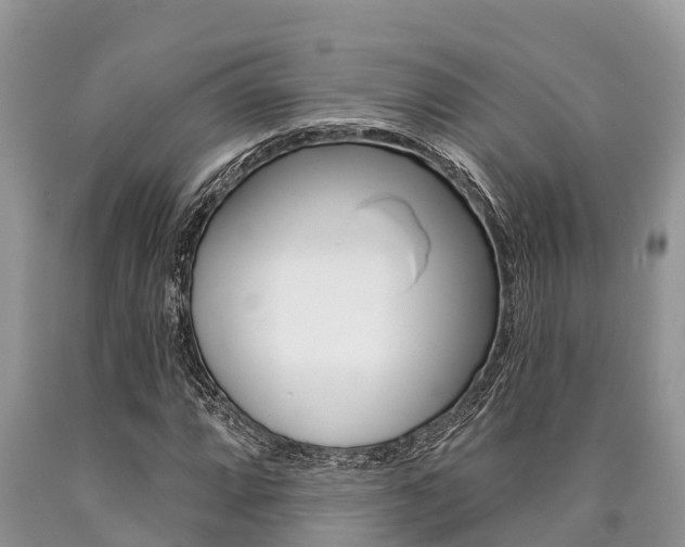 X0000090771064200707201109