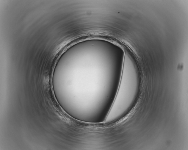 X0000090771065200707201109