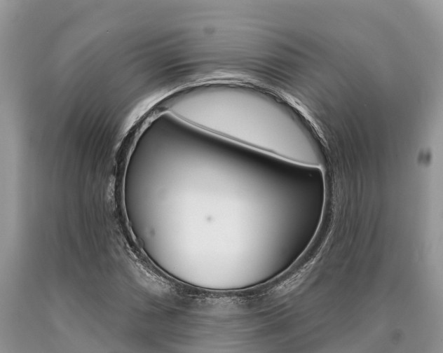 X0000090771066200707201109