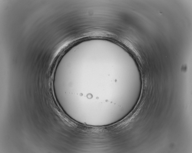 X0000090771067200707201109