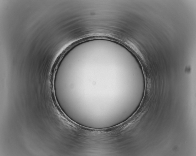 X0000090771068200707201109