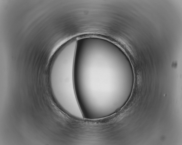 X0000090771069200707201109