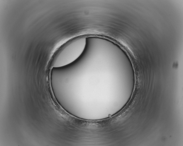 X0000090771070200707201109