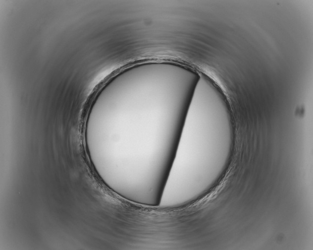 X0000090771071200707201109
