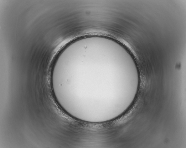 X0000090771074200707201109