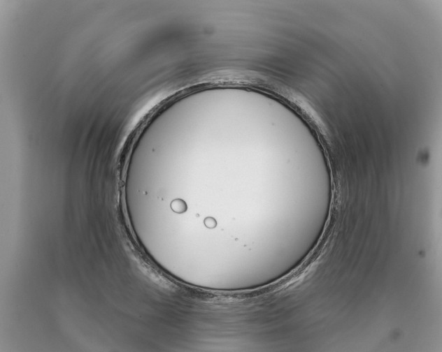 X0000090771075200707201109