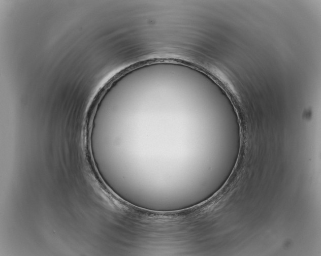 X0000090771076200707201109