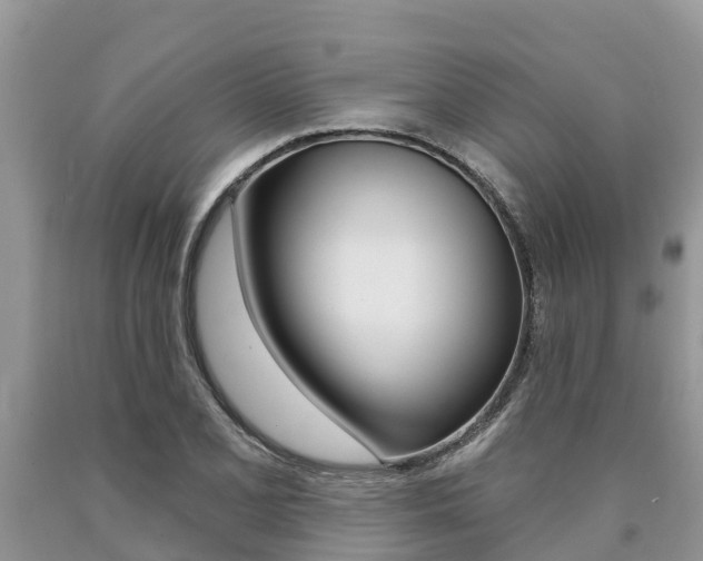 X0000090771077200707201109
