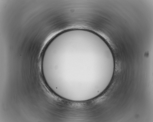X0000090771078200707201109
