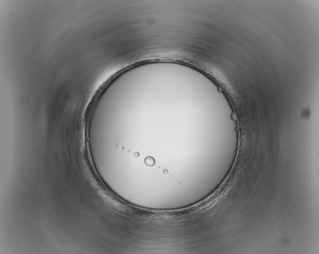 X0000090771079200707201109