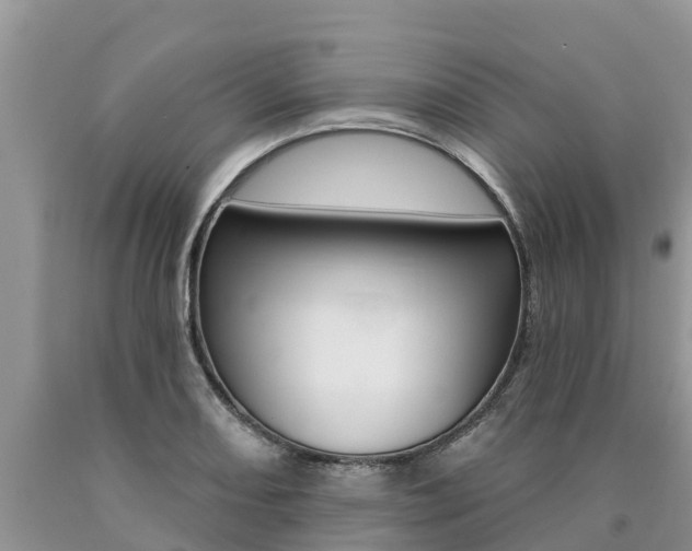 X0000090771082200707201109