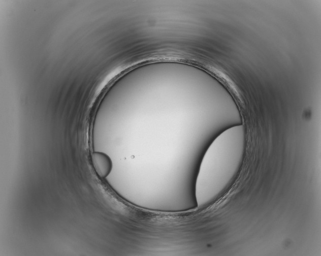 X0000090771083200707201109