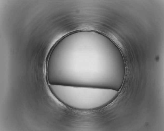 X0000090771084200707201109
