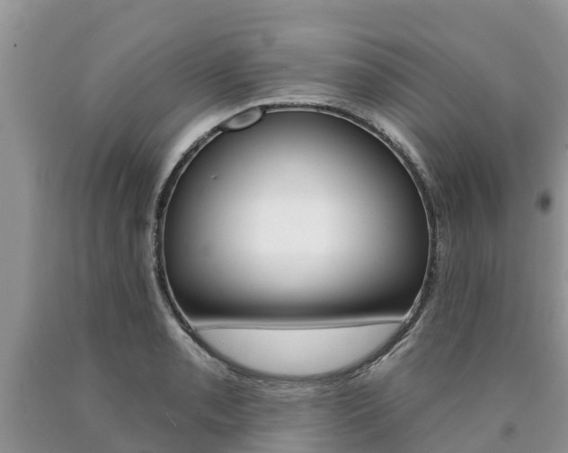 X0000090771085200707201109