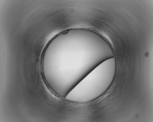 X0000090771087200707201109