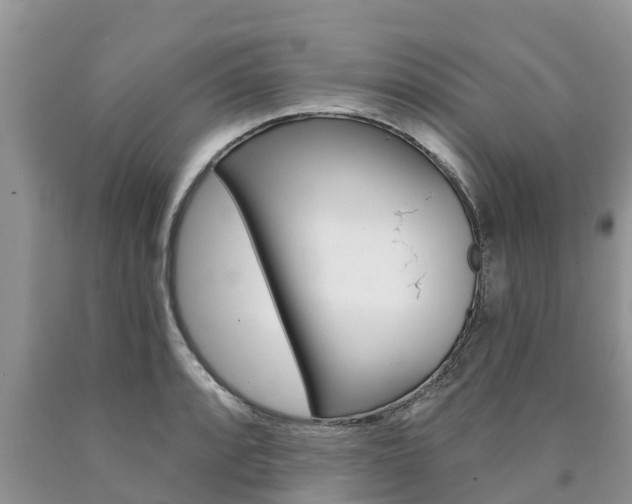 X0000090771088200707201109