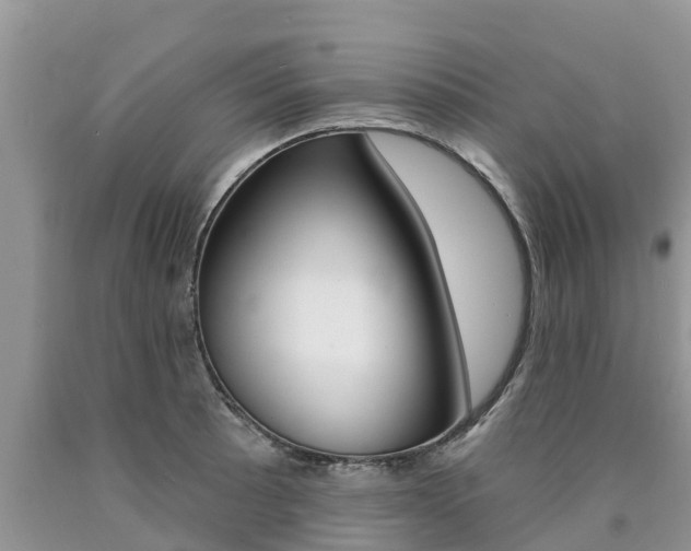 X0000090771089200707201109