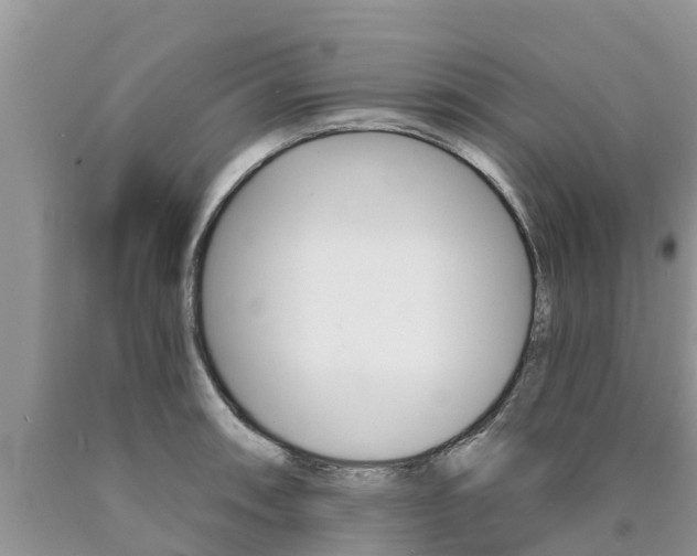 X0000090771090200707201109