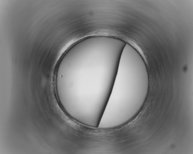 X0000090771091200707201109