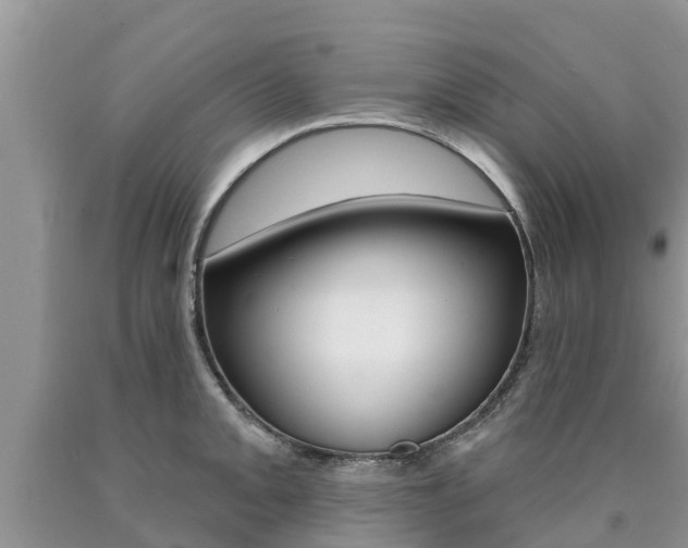 X0000090771093200707201109