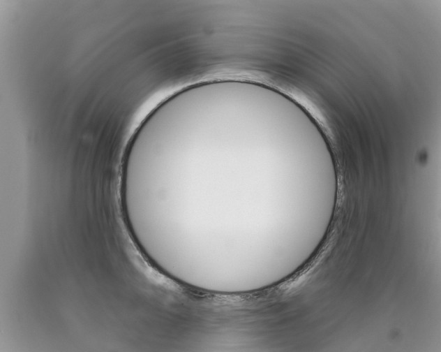X0000090771094200707201109