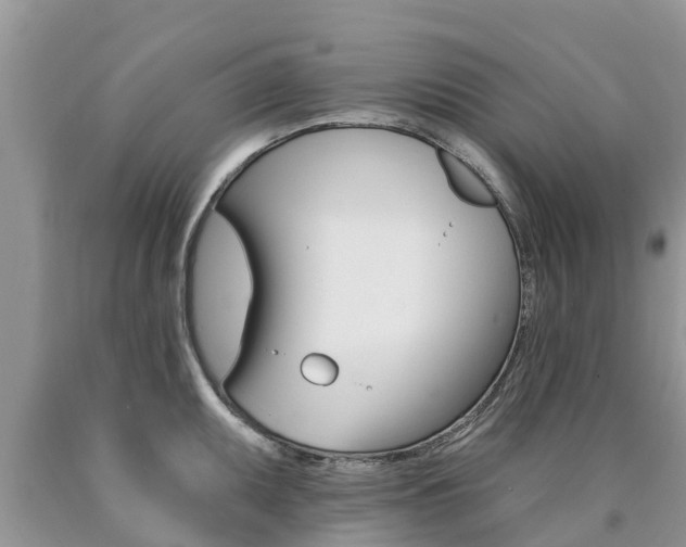 X0000090771095200707201109