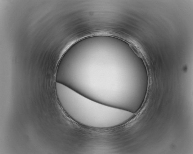 X0000090771097200707201109