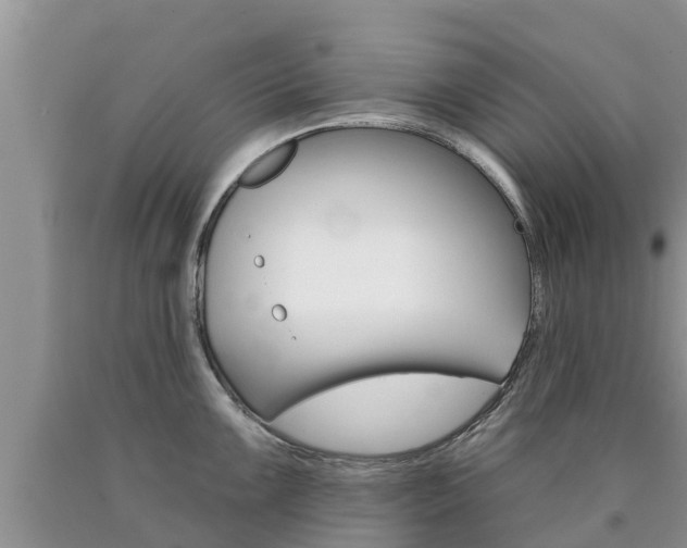 X0000090771099200707201109