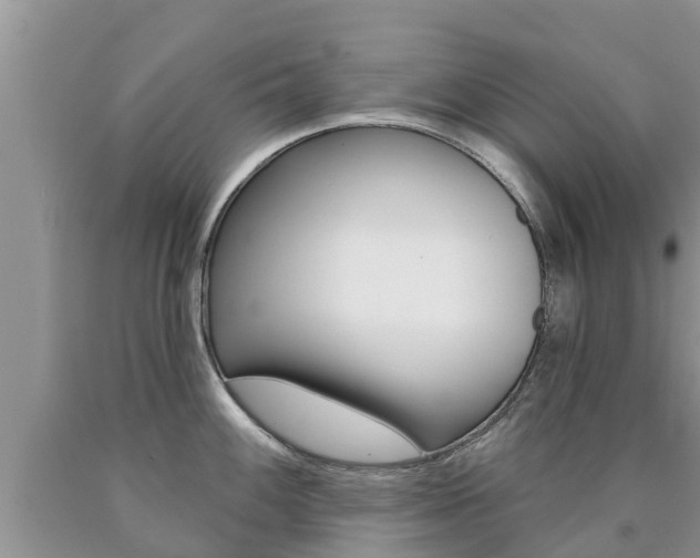 X0000090771100200707201109