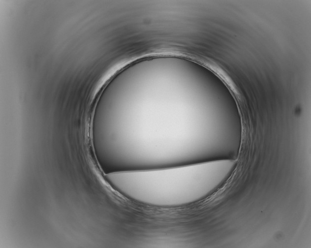 X0000090771101200707201109