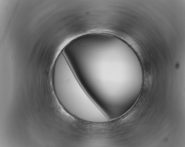 X0000090771102200707201109