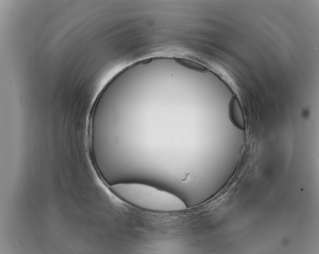 X0000090771103200707201109