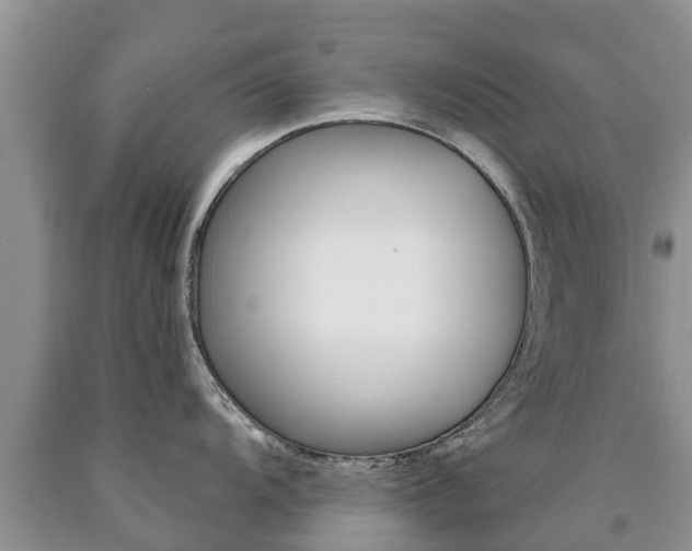 X0000090771104200707201109