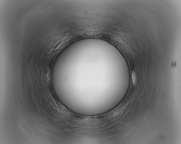 X0000090771107200707201108