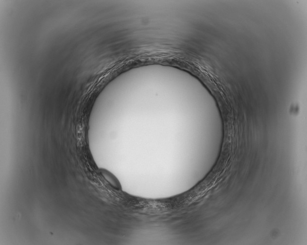 X0000090771109200707201108