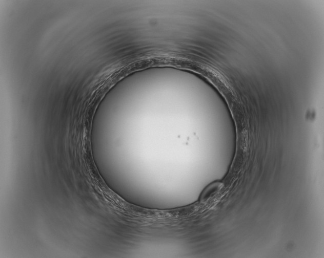 X0000090771111200707201108