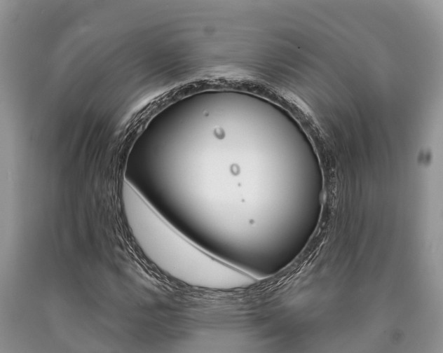 X0000090771112200707201108