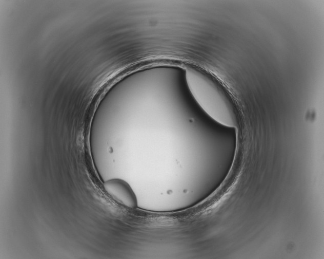X0000090771113200707201108