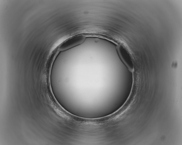 X0000090771114200707201108