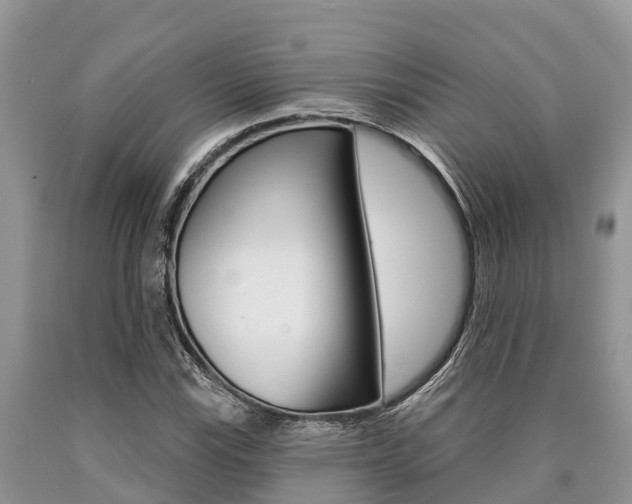 X0000090771115200707201108