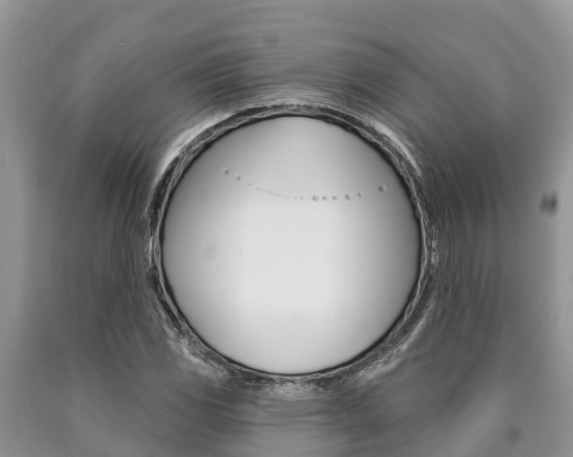 X0000090771117200707201108